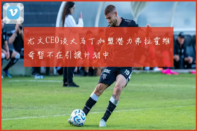 尤文CEO谈大马丁加盟潜力弗拉霍维奇暂不在引援计划中
